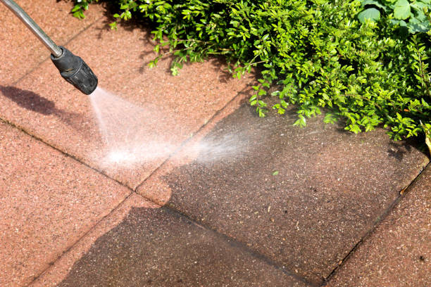 Best Pressure Washing Driveway  in Nephi, UT